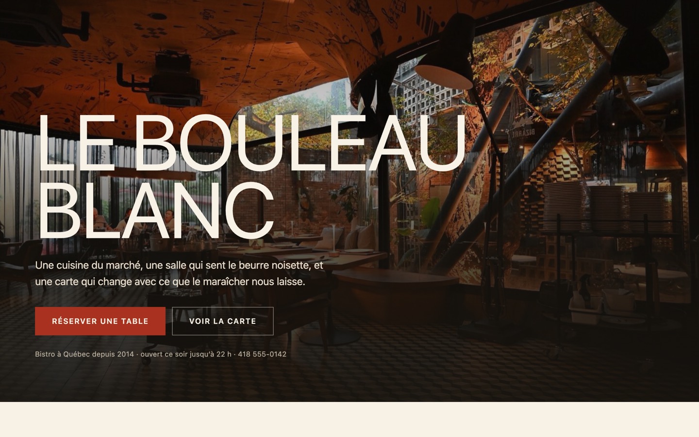 Aperçu du modèle Le Bouleau Blanc
